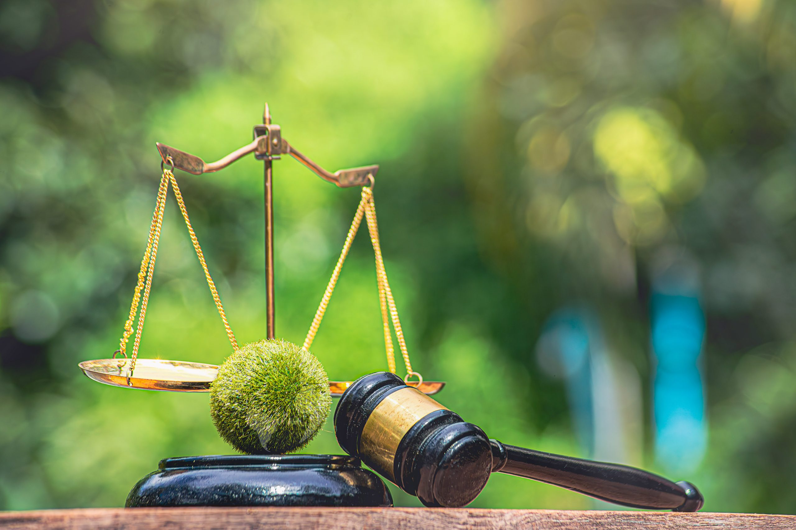 Criminalidade Ambiental