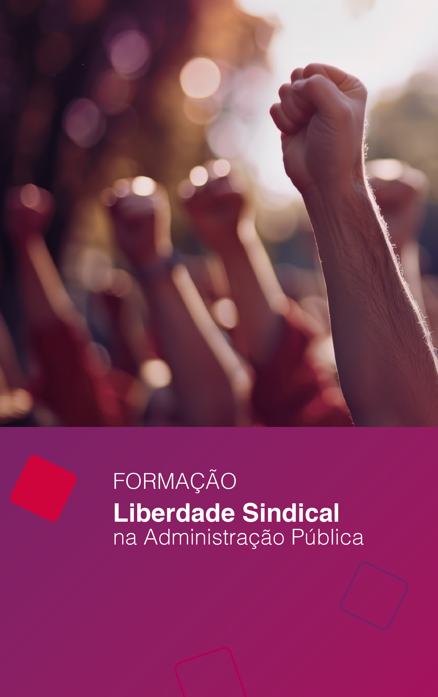 Liberdade Sindical na Administração Pública
